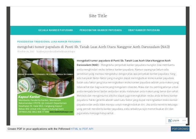 19 Luas Pdf